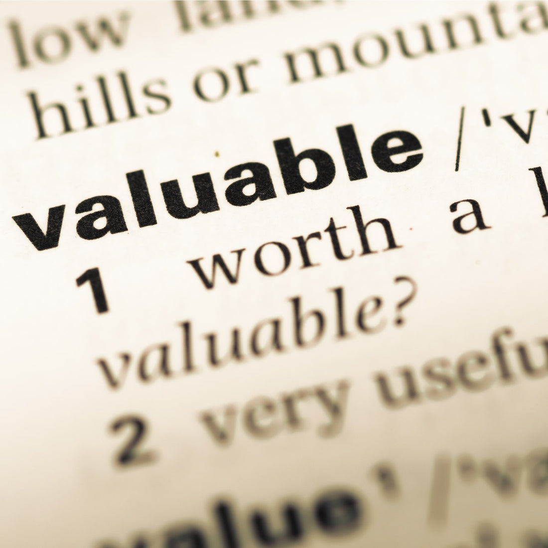 Dictionary Valuable Definition